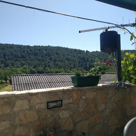 فندق Milica App Skradinsko Polje 24 المظهر الخارجي الصورة